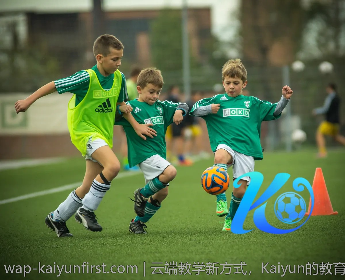 云端教学新方式，Kaiyun的教育资源你了解吗？