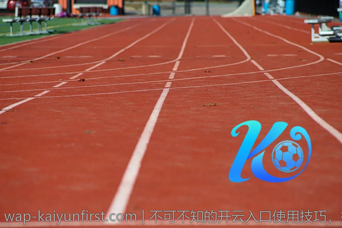 不可不知的开云入口使用技巧，提升你的体验