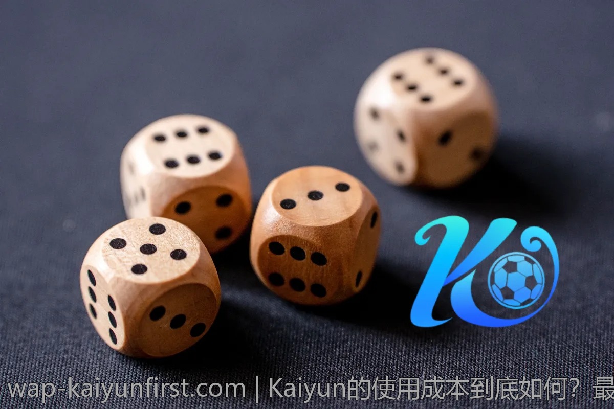 Kaiyun的使用成本到底如何？最全费用分析