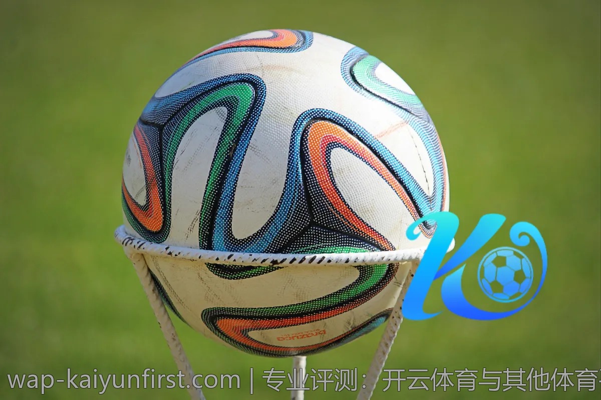 专业评测：开云体育与其他体育平台大比拼